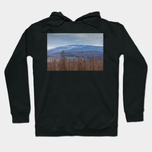 Brocken, forest, resin, winter Hoodie